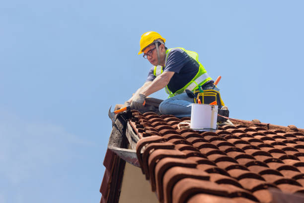 Best Roof Replacement  in Waipio, HI